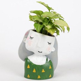 Set of 3 Air Purifying Plants In Raisin Pots