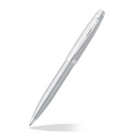 Sheaffer Ballpoint Pen and Keychain With Syngonium Plant