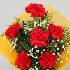 Soulful Red Carnations Bouquet