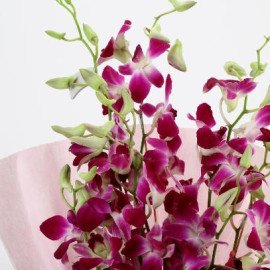 Splendid Purple Orchids Bouquet