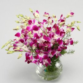 Stunning Purple Orchid Bunch