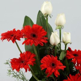 Stupendous Floral Beauty
