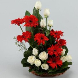 Stupendous Floral Beauty