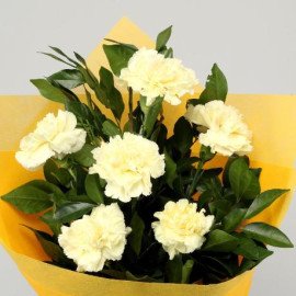 Sunny Side Up Yellow Carnations Bunch