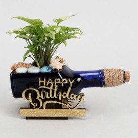 Syngonium Plant In Birthday Antiquity Bottle Planter