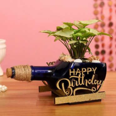 Syngonium Plant In Happy Birthday Antiquity Bottle Planter