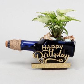 Syngonium Plant In Happy Birthday Antiquity Bottle Planter