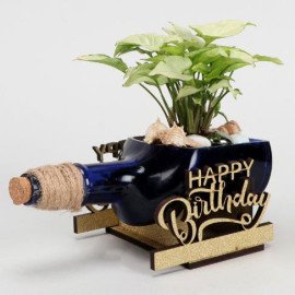 Syngonium Plant In Happy Birthday Antiquity Bottle Planter