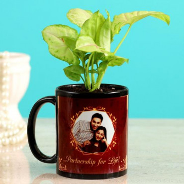 Syngonium Plant In Personalised Mug Planter