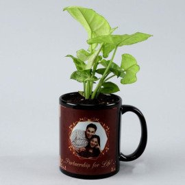 Syngonium Plant In Personalised Mug Planter