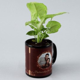 Syngonium Plant In Personalised Mug Planter