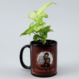 Syngonium Plant In Personalised Mug Planter
