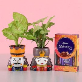 Syngonium Plant Set & Cadbury Celebrations