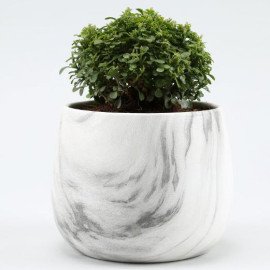 Table Kamini Plant In White & Black Marble Pot