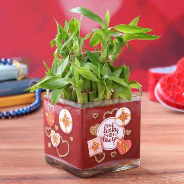 Two Layer Bamboo Plant In Im Lucky To Have You Sticker Vase Hand Delivery