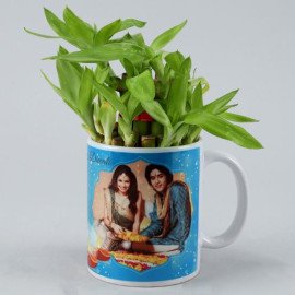 Two Layer Bamboo Plant In White Personalised Mug