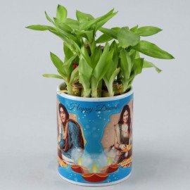Two Layer Bamboo Plant In White Personalised Mug