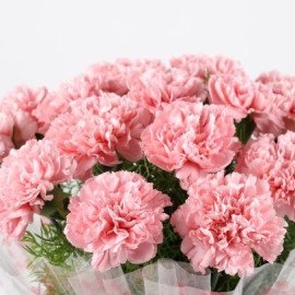 Unending Love 18 Light Pink Carnations Bouquet