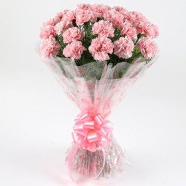 Unending Love 24 Light Pink Carnations Bouquet