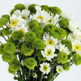 White N Green Flower Bunch
