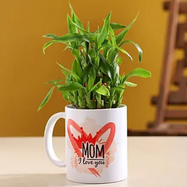 Two Layer Bamboo Plant In Mom I Love You Mug