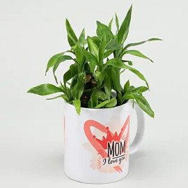 Two Layer Bamboo Plant In Mom I Love You Mug