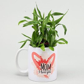 Two Layer Bamboo Plant In Mom I Love You Mug